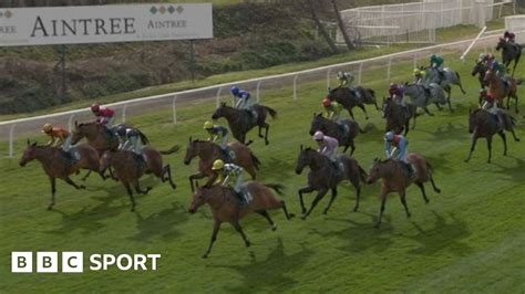 who won the virtual grand national|Virtual Grand National 2020: Potters Corner wins televised race.